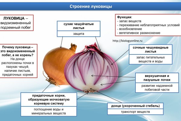 Кракен онион зеркало