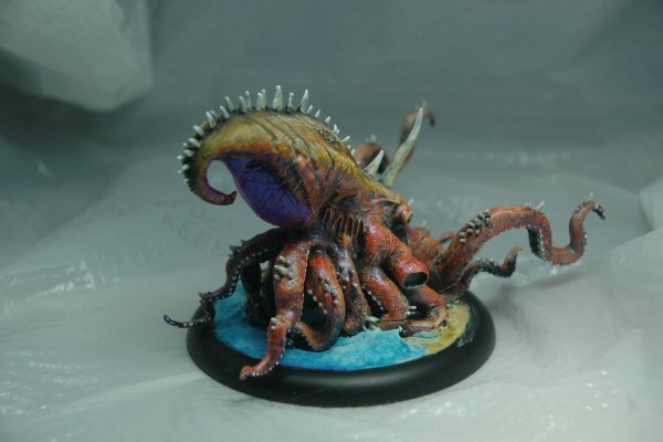 Kraken 24 at