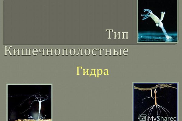 Кракен это даркнет маркетплейс