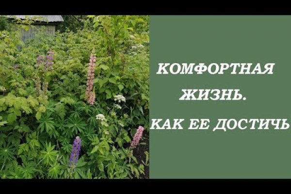 Кракен переход