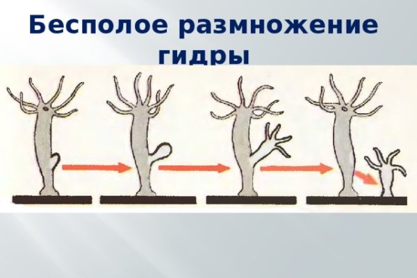 Кракен купить мефедрон
