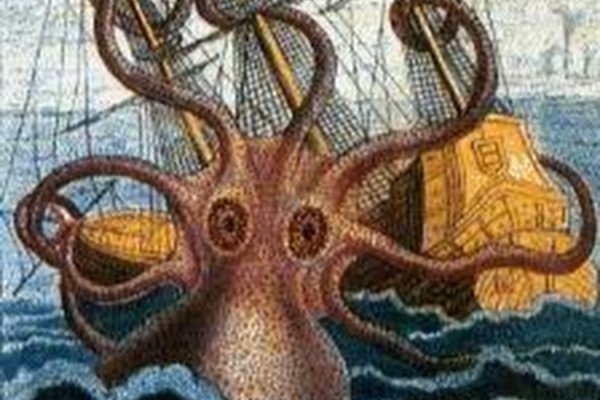 Kraken 13 at com