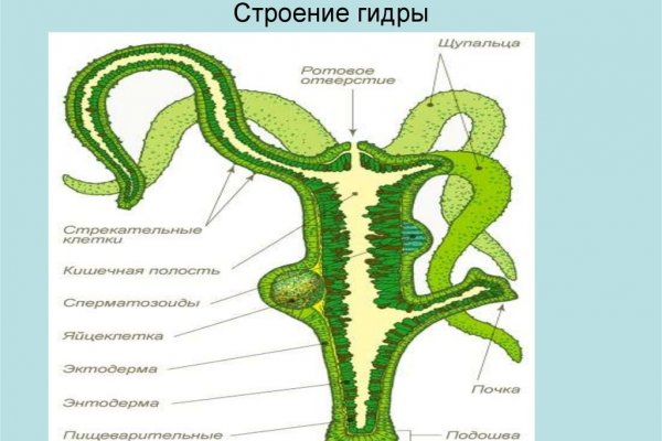 Сайт наркотиков купить